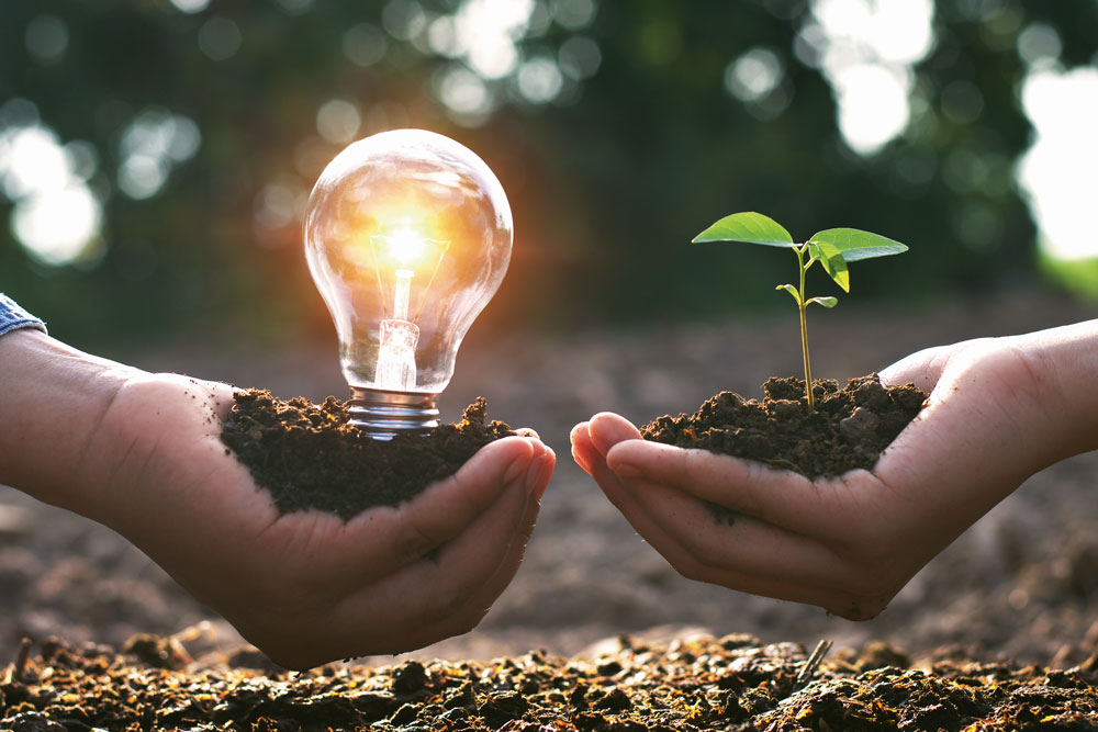 A plant and a lightbulb growing out of soil (symbol for innovative plastic recycling machines).